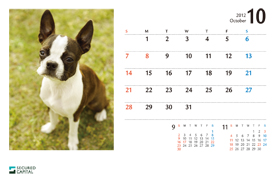 犬のカレンダー2012年10月