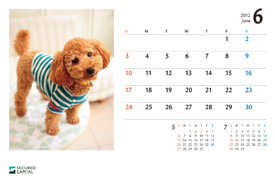 犬のカレンダー2012年6月