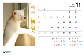 犬のカレンダー2008年11月