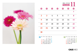 オリジナル花の卓上カレンダーVol.3の11月