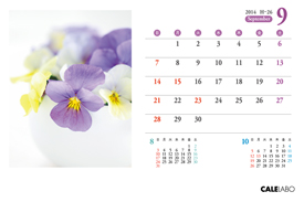 オリジナル花の卓上カレンダーVol.3の9月